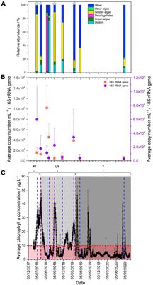 Identification of algal rich microbial blooms in the Sellafield Pile Fuel Storage Pond and the application of ultrasonic treatment to control the formation of blooms